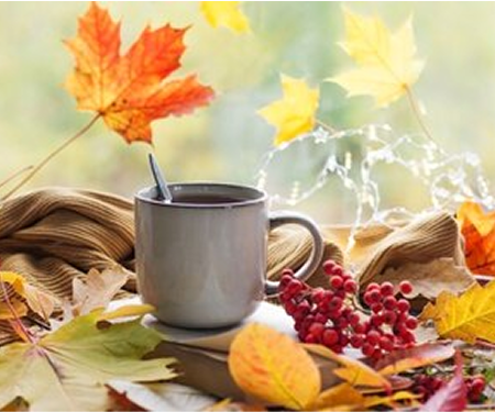 Why Freshly Roasted Coffee Makes All the Difference