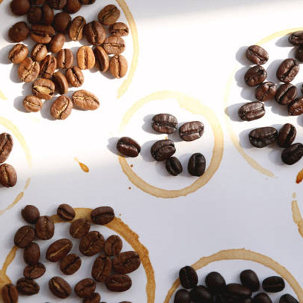 What a Roast Date Means and How Long Fresh Roasted Coffee Stays at Peak Flavor