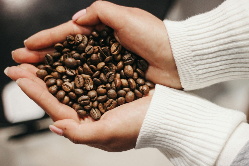 Whole Bean Coffee Flavor Notes: What to Expect from Single Origin vs. Blends